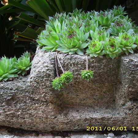 Guest House Villa Katty Balchik Bagian luar foto