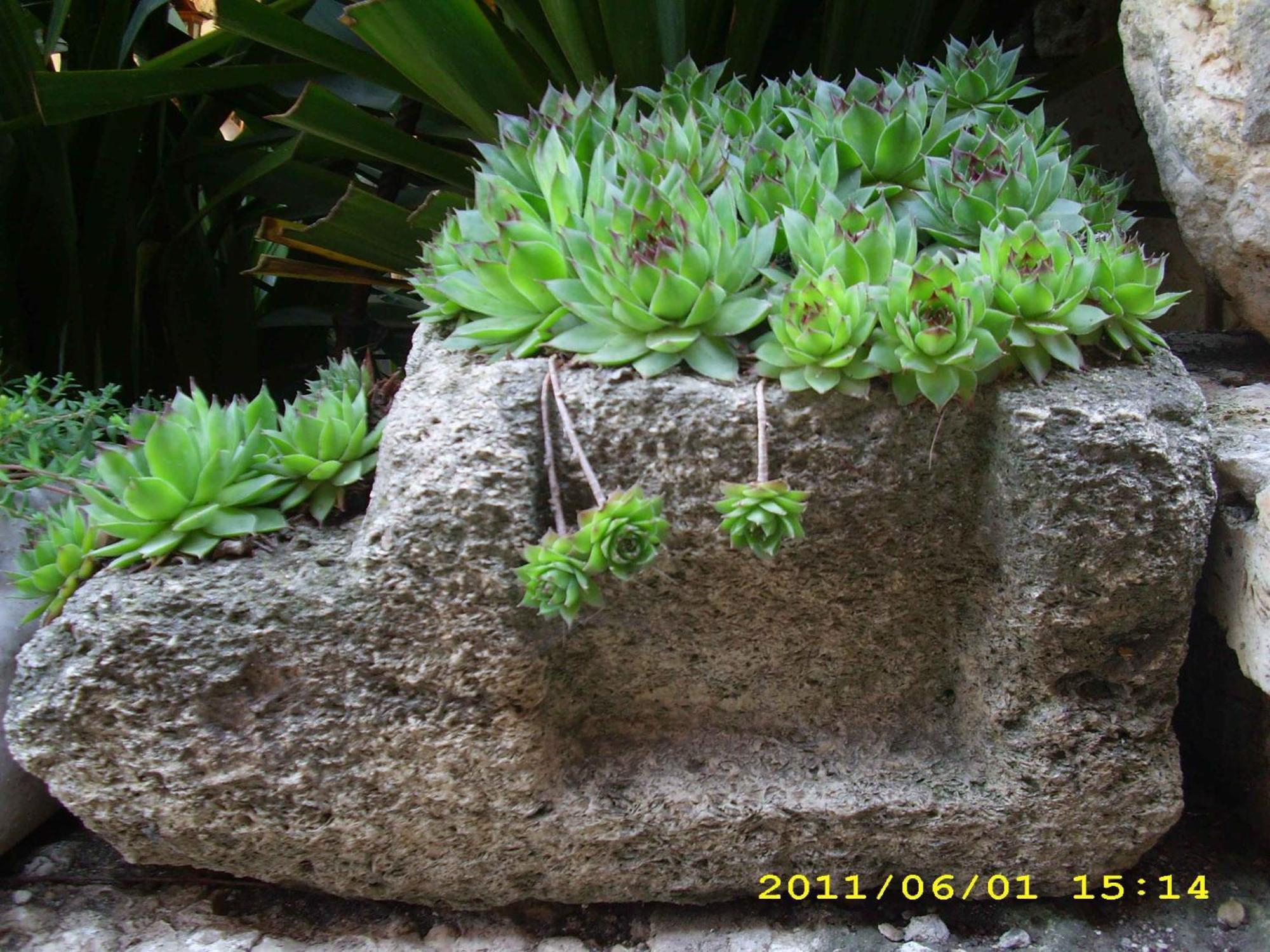 Guest House Villa Katty Balchik Bagian luar foto